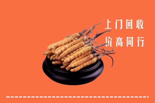 高价求购：唐山回收散虫草