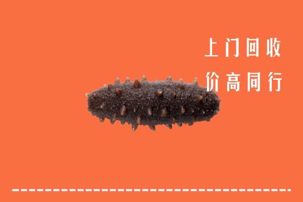 高价求购：唐山回收海参