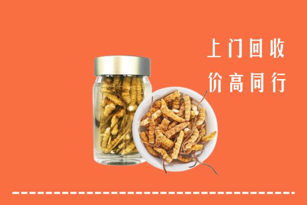 唐山回收冬虫夏草